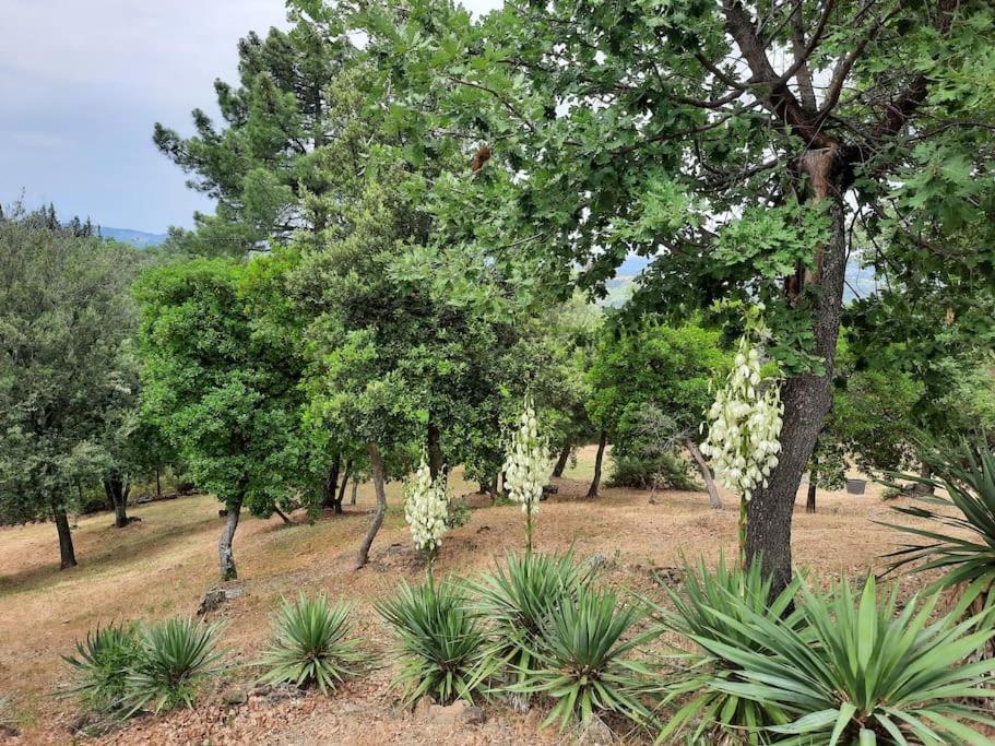 Linari Villa Tutti I Colori Del Chianti מראה חיצוני תמונה