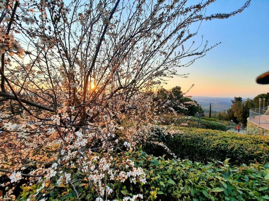 Linari Villa Tutti I Colori Del Chianti מראה חיצוני תמונה