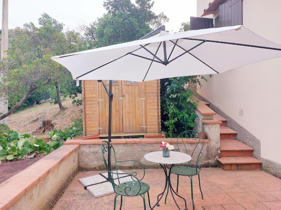 Linari Villa Tutti I Colori Del Chianti מראה חיצוני תמונה